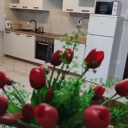 Homestay Goscinne Majka M *